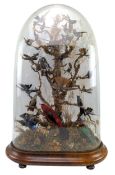 VICTORIAN 19TH CENTURY GLASS DOME TAXIDERMY DISPLAY OF HUMMINGBIRDS