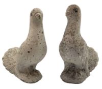 PAIR OF 20TH CENTURY COMPOSITE STONE GARDEN DOVE FIGURINES