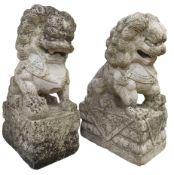 PAIR OF CHINESE CARVED MARBLE TEMPLE DOGS OF FO / DRAGONS