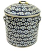 QING XIANFENG / TONGZHI BLUE AND WHITE PRUNUS JAR 清 咸丰同治青花冰梅罐