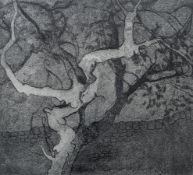 CHUIK HULL - JOE'S TREE - ARTIST'S PROOF ETCHING