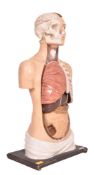 MID 20TH CENTURY PAINTED PLASTICAST ANATOMICAL BUST