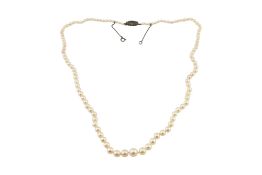 AN EARLY 20TH CENTURY PEARL NECKLACE