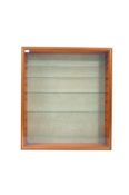 WALL MOUNTED GLASS MODEL / MINIATURES DISPLAY CASE
