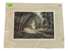 20TH CENTURY VINTAGE WOODLAND COLOURED ETCHING