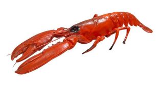 VINTAGE PLASTIC LOBSTER DECORATION