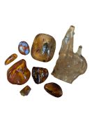 NATURAL HISTORY INTEREST - COLLECTION OF PREHISTORIC AMBER SPECIMENS