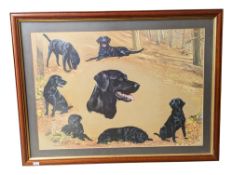 POLLYANNA PICKERING (1942 - 2018) - PRINT OF A BLACK LAB DOG