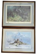 DAVID SHEPHARD - TWO SIGNED LITHOGRAPH PRINTS OF ANIMALS