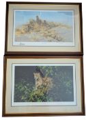 DAVID SHEPHERD - TWO LIMITED EDITION SIGNED LITHOGRAPH PRINTS OF CHEETAHS & JAGUAR