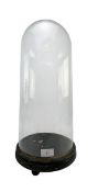 TALL VICTORIAN 19TH CENTURY GLASS & WOODEN SPECIMENT DISPLAY DOME