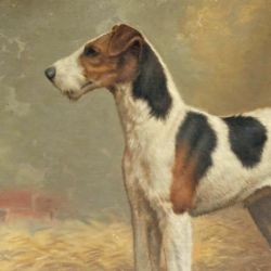 FINE ART & ANTIQUES (PART 2) - BATH - LIVE & IN PERSON