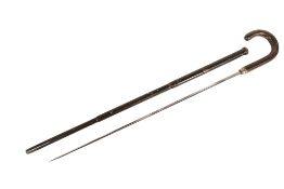 19TH CENTURY CONTINENTAL SWORD STICK