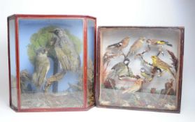 TWO VINTAGE EARLY 20TH CENTURY GLAZED CASES CONTAINING TAXIDERMY