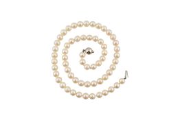 18CT WHITE GOLD & CULTURED PEARL NECKLACE