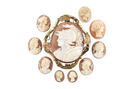 19TH CENTURY CAMEO BROOCH PIN & LOOSE CAMEOS