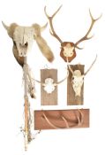 BOVINE CATTLE SKULL & FUR TOTEM STAFF STICK T/W 4 OTHERS