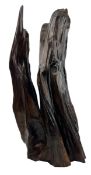 INTERIOR DESIGN / FEATURE FREE-STANDING LACQUERED DRIFTWOOD SCULPTURE