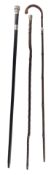 COLLECTION OF THREE SELECTED WALKING / PROMENADE STICKS