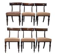 SIX WILLIAM IV EARLY 19TH CENTURY MAHOGANY DINING CHAIRS