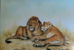 H.C. BABINGTON - LION AND LIONESS OF BRISTOL ZOO WATERCOLOUR