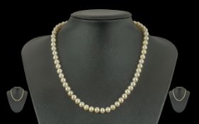 Ladies - Single Strand Cultured Pearl Ne