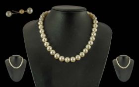A Fine Quality Ladies 14ct Gold Clasp Set - Large Cultured Pearl Necklace. The Clasp Marked 585 -
