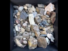 A Large Collection of AssortedFossils and Stones various sizes.