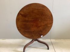 An early 19th century circular mahogany tilt top tripod tea table, diameter 86cm, height 67cm. Condi