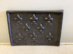 A rectangular cast iron fleur de lys fire back, width 74cm, height 52cm, together with a pair of bra