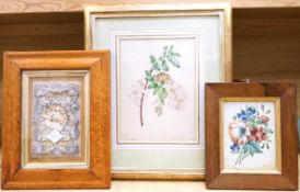 Two 19th century botanical watercolours, one initialled M P and dated 1843, together with a cut pape
