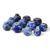 Eleven Chinese blue and white prunus jars and two covers, late 19th/20th century, tallest jar and co