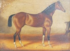 After C D Langley, Study of a bay horse, applied plaque to the ornate gilt frame, Studio M Canals