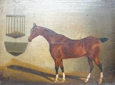After C D Langley, Study of a bay horse, applied plaque to the ornate gilt frame, Studio M Canals