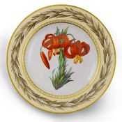 A KPM Berlin Turban lily botanical specimen plate, c.1806-9, finely painted with a titled