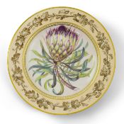 A KPM Berlin Long-leaf Protea botanical specimen plate, c.1806-9, finely painted with a titled