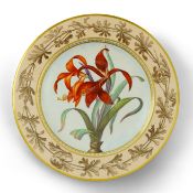 A KPM Berlin Aztec lily botanical specimen plate, c.1806-9, finely painted with a titled botanical