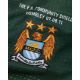 Joe Hart green No.25 Manchester City Community Shield match worn goalkeepers shirt, 2011 - Image 3 of 5