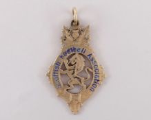 James Marshall 14ct gold and enamel Rangers v. St. Mirren Scottish Cup Winner medal, 1933-34