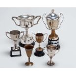 A Bilston Lawn Tennis Club archive of twin presentation boards