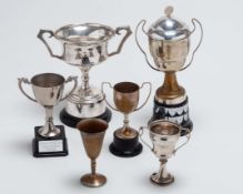 A Bilston Lawn Tennis Club archive of twin presentation boards