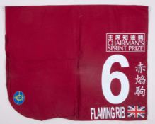 No.6 number cloth worn by Flaming Rib in 2023 Chairman's Sprint Prize at Sha Tin Hong Kong