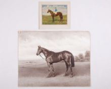 Richard Anscomb (Newmarket photographer) Zucchero with Lester Piggott up