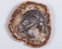 Racing plate worn by Arkle when winning the Gallagher Gold Cup at Sandown Park in 1965,