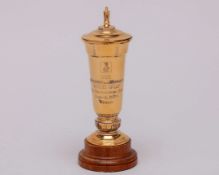 The trophy for the 1979 Benson & Hedges Gold Cup won by Troy