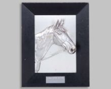 The Coolmore Castle Hyde Studs Trophy&nbsp;
