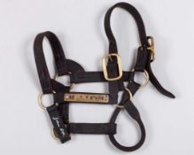 Head collar of the racehorse and stallion Sea The Stars