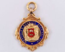 Willis Edwards 9ct gold and enamel Norfolk Norwich Hospital Cup medal, 1937-38