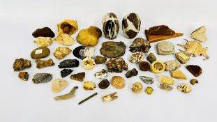 A TRAY CONTAINING ROCKS AND FOSSILS ETC.