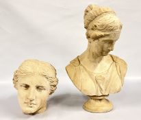 A CLASSICAL PLASTER BUST H 55CM.